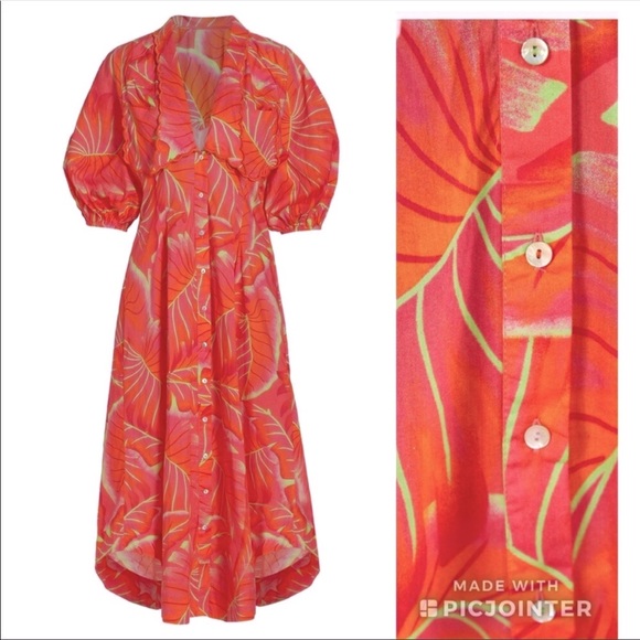 Farm Rio Dress - Picture 12 of 14